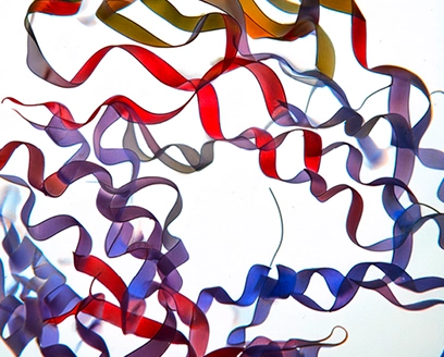 Fast protein analysis of mucins using an AZURA® SEC System Fast protein analysis of mucins using an AZURA® SEC System