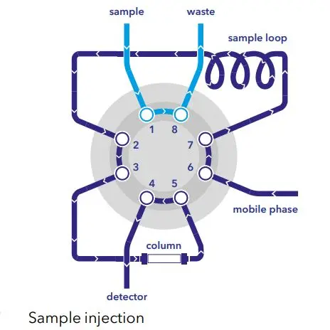 Sample injection and column backflushing