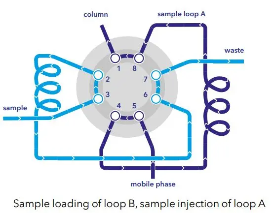 High-throughput sample loading