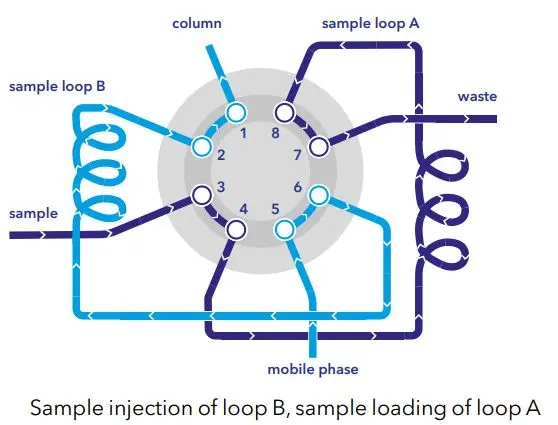 High-throughput sample loading