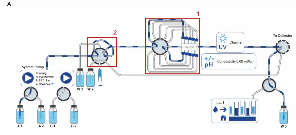 Ion exchange method during injection of sample (A) Visualization of AZURA Bio Lab System in basic set up (B) Ion exchange method