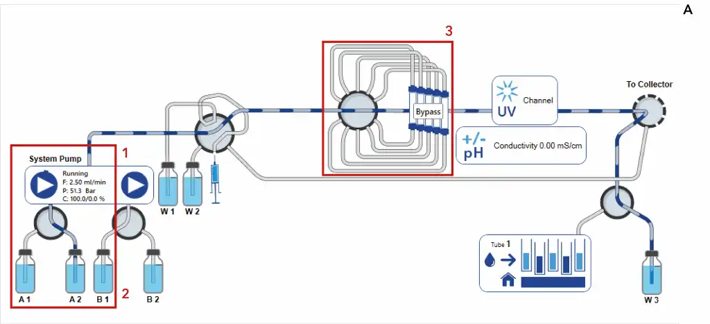 Desalting method during system wash (A) Visualization of AZURA Bio Lab System in basic set up (B) Desalting method Conditioning