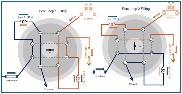 Figure 4:  Schematic figure KNAUER eight-port 2 position valve for 2D-LC