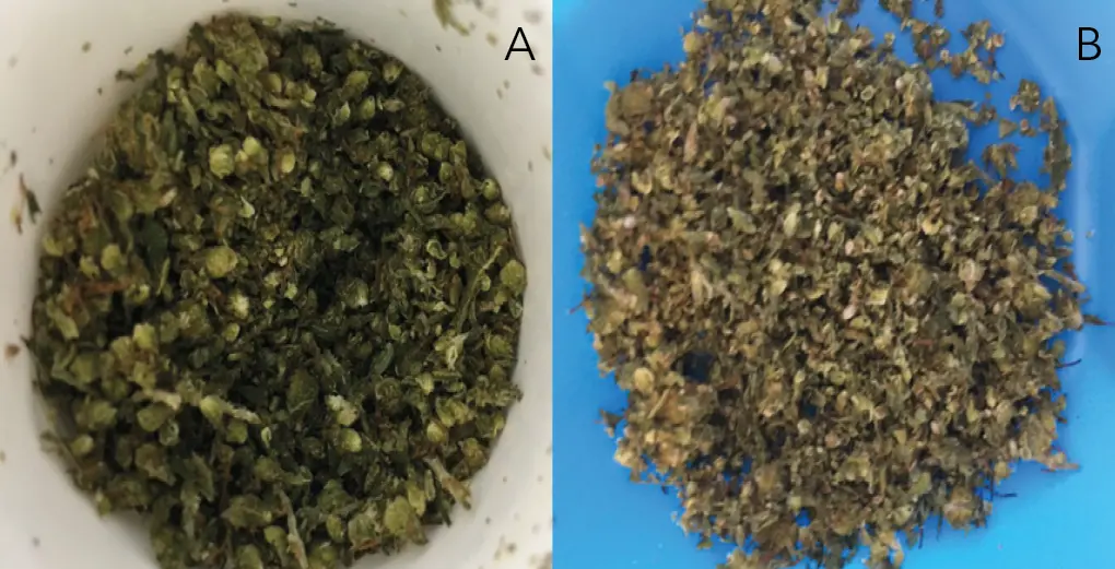Bediol sample: original (A) and grinded (B).