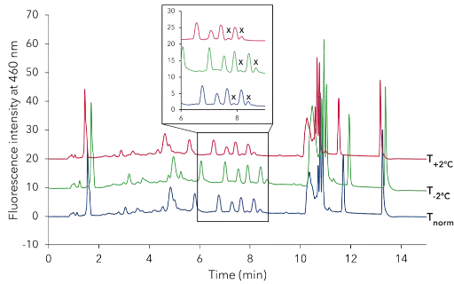 Example of three chromatograms with 1.0 ng/mL aflatoxin B1/G1 and 0.3 ng/mL B2/G2 measured for robustness validation. The method was robust if the two labeled matrix peaks were baseline separated from the aflatoxin peaks.