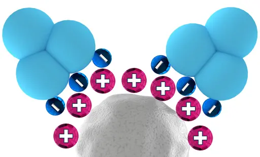Separation of proteins with anion exchange chromatography on Sepapure Q and DEAE Separation of proteins with anion exchange chromatography on Sepapure Q and DEAE
