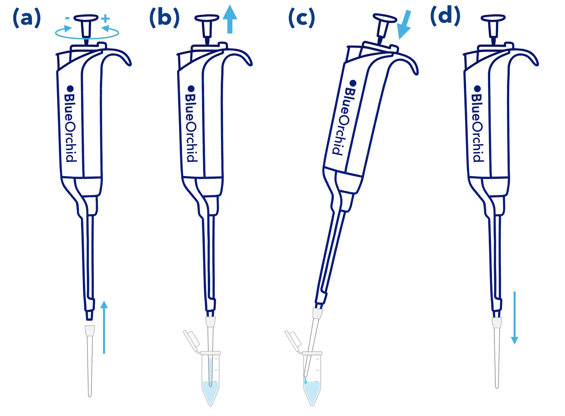 The Pipetting Cycle