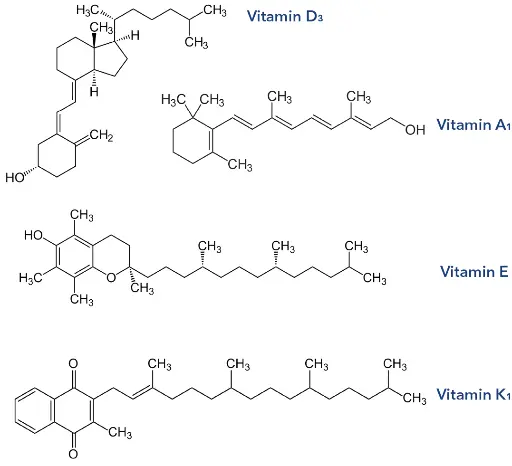 Structural formulas of typical fat-soluble vitamins Structural formulas of typical fat-soluble vitamins