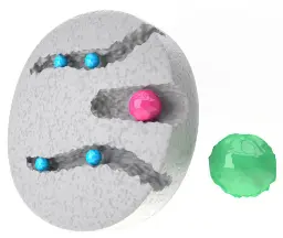 Group separation with Sepapure Desalting on AZURA® Bio purification system