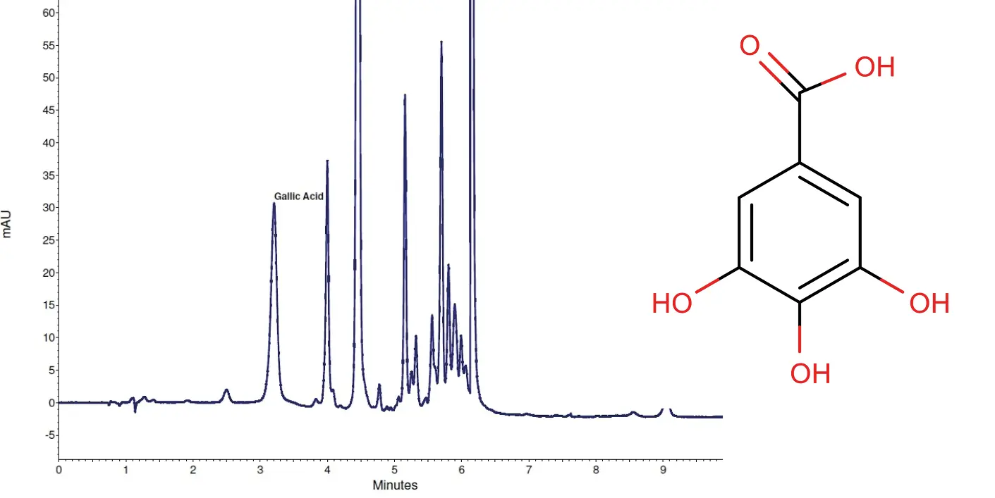 Fig. 2 Gallnut extract, dilution 1:1000, 10 µL injection