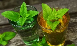 Easy and fast isolation of rosmarinic acid from lemon balm with mass-directed purification