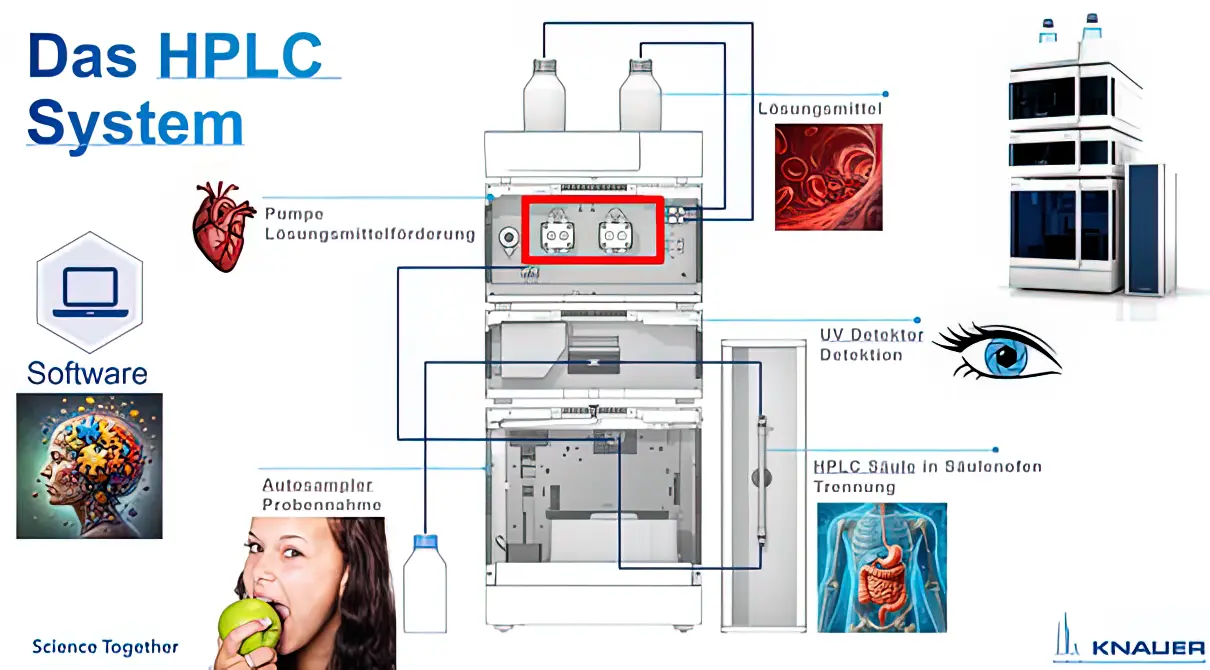 Figure 6: The HPLC and its various modules, depicted as human organs.