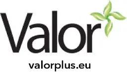 Logo Valor