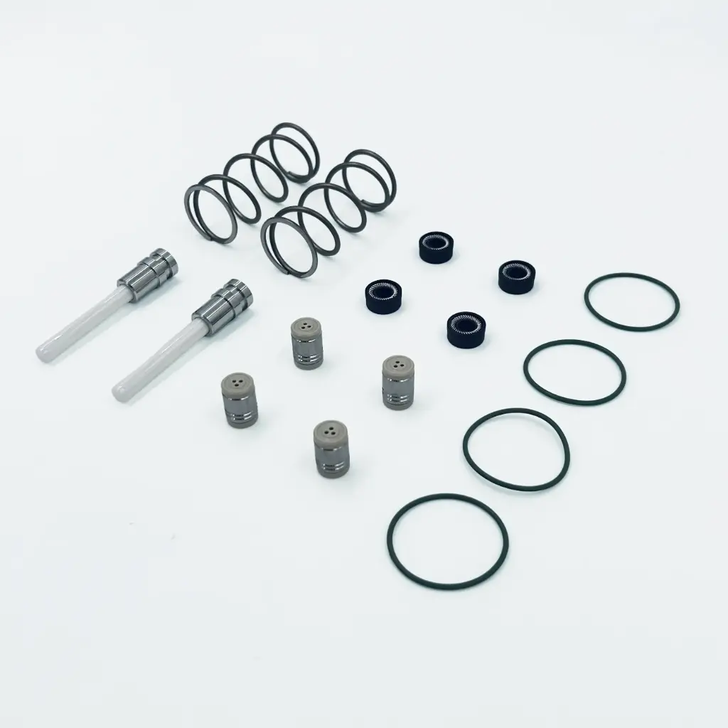 Maintenance Kit Pump Head 100ml