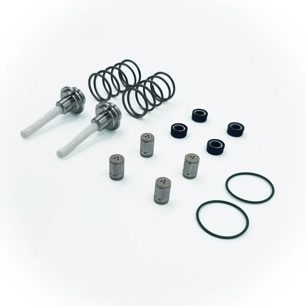 Maintenance Kit Pump Head 100ml