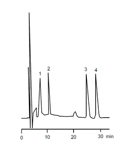 Chromatogram VPH0013J