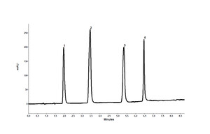 Chromatogram VPH0028J