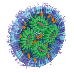 Lipid nanoparticle 