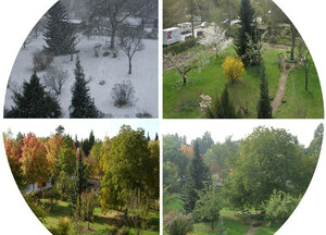 4 seasons in the KNAUER eco-garden