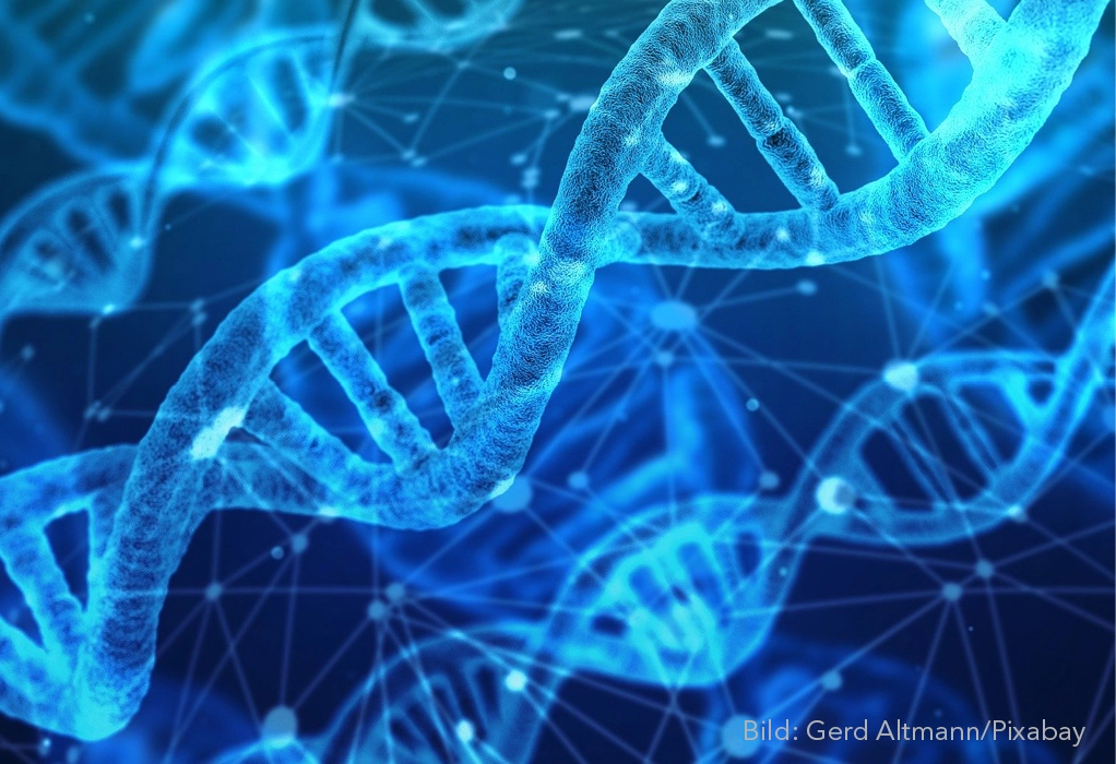 Quality control of oligonucleotides using HPLC coupled to UV and MS detection
