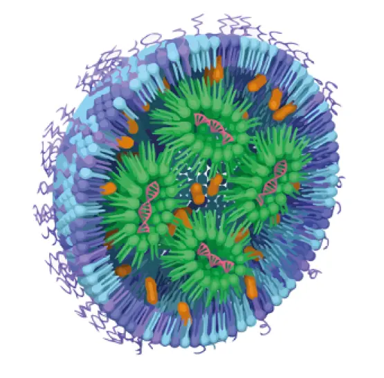 VPH0078 Fig-0 High-throughput and sensitive HPLC analysis of lipids