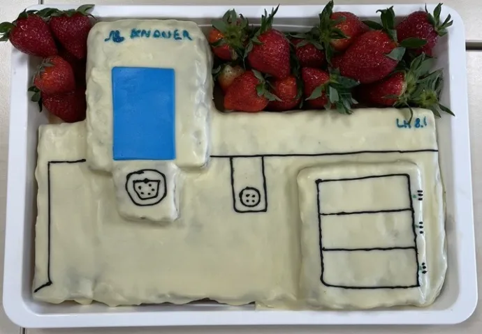 LH 8.1 cake