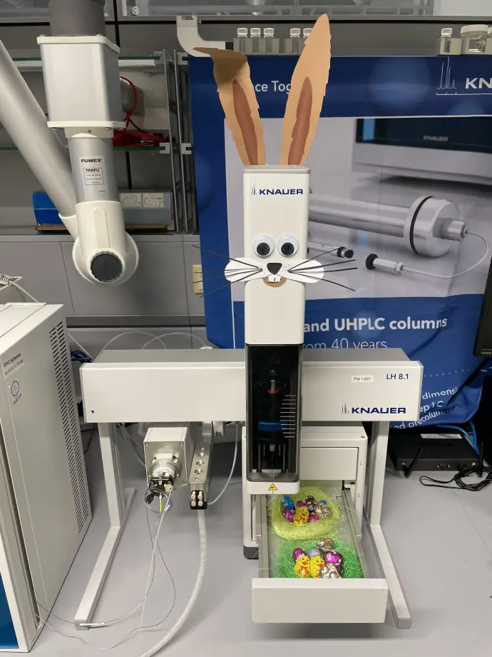 LH 8.1 Easter edition