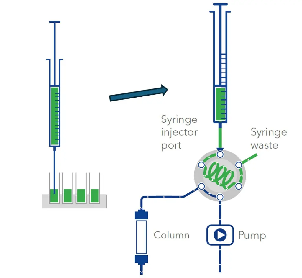 Schematic illustration of full loop injection