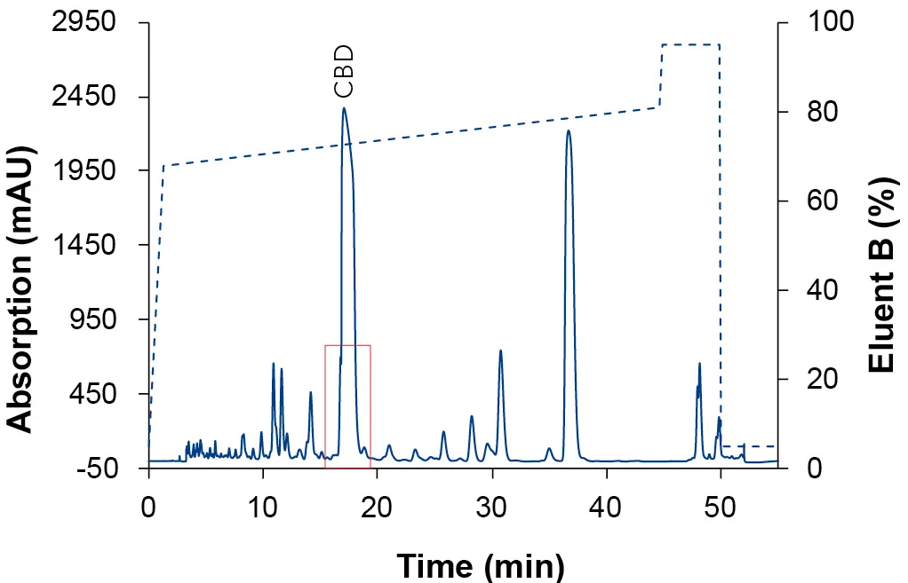 Chromatogram of the focus gradient with ACN as eluent B. Sample: CBD-rich cannabis extract; blue: ES II 100-5 C18 250 x 4 mm; dashed line: gradient; 228 nm; 10 µl injection.