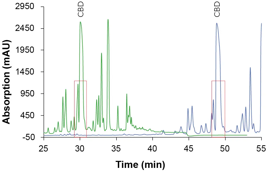 Chromatogram cutout of the overview gradient with EtOH as eluent B. Sample: CBD-rich cannabis extract; * CBD; green: ES II 100-5 C18 150 x 4 mm; blue: ES II 100-5 C18 250 x 4 mm; 228 nm; 10 µl injection.