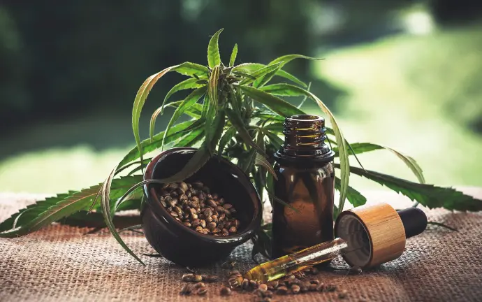 Determination of mycotoxins – in cannabis and cannabis derived products with fluorescence detection