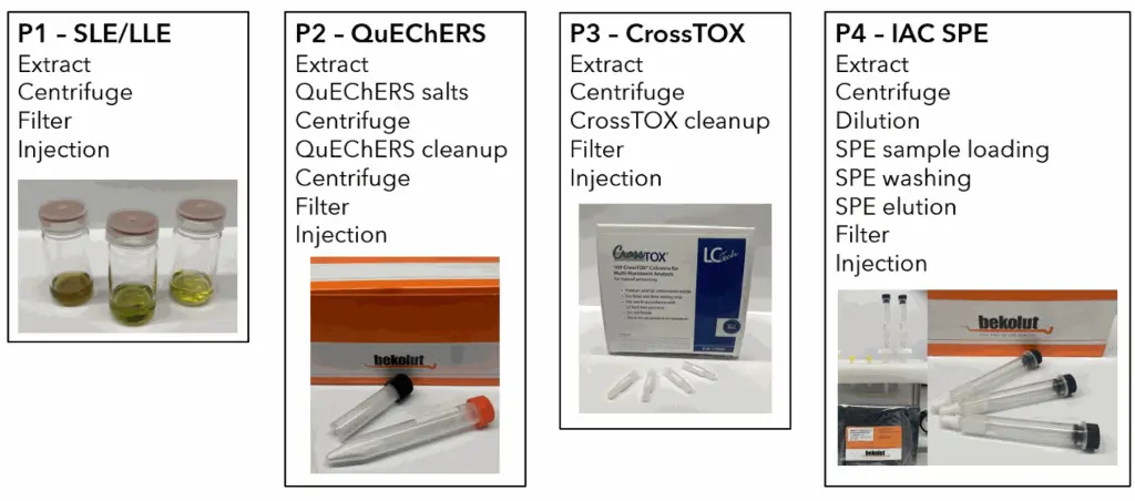 Simplified overview of sample preparation procedures