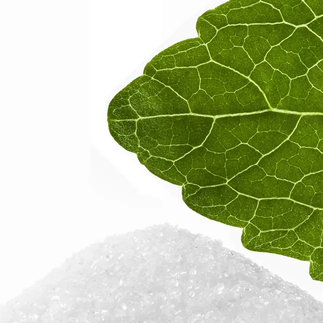 Scale-Up of an analytical HPLC method for steviol glycosides to a preparative approach