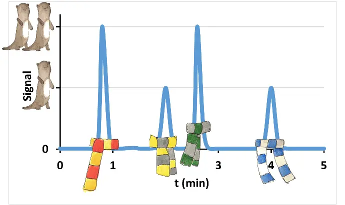 After we successfully analyzed his study group, we got this nice chrom-otterogram. We assigned the peaks to all four houses of magic otters and quantified them using peak height. The same principle is used to separate the four “helper molecules” used in lipid nanoparticles.