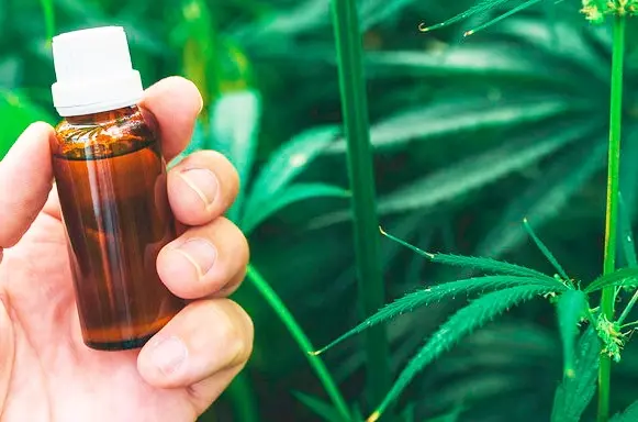 Comparing CBD aroma oils with HPLC-UV