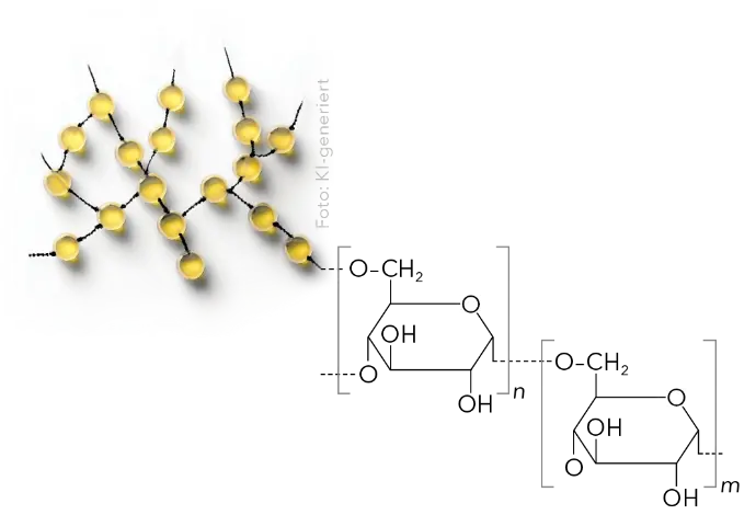 Analysis of dextran using an AZURA® SEC System