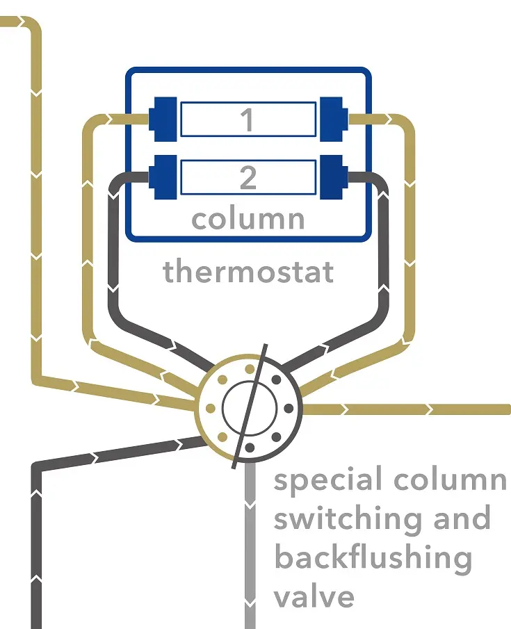 Special column switching valve