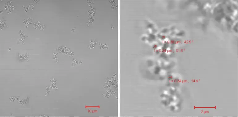 Fig. 1 CLSM images of Hb-MnCO3 hybrid particles produced with KNAUER IJM #5. Flow rate of MnCl2-Hb/Na2CO3: 2 ml/min, HSA: 6 ml/min. Particles are aggregating.