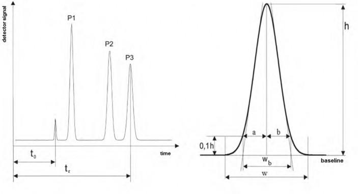Schematic illustration of a chromatogram