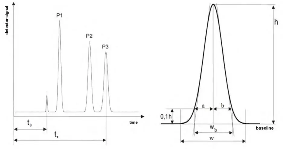 Fig. 5 Schematic illustration of a chromatogram [3]