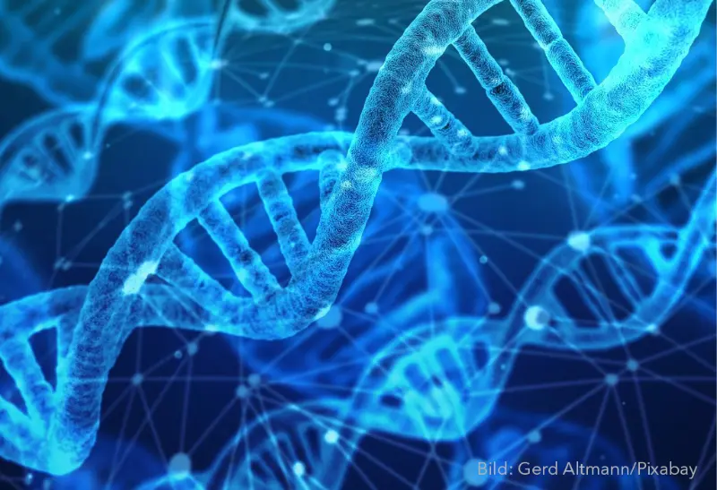 Oligonucleotides