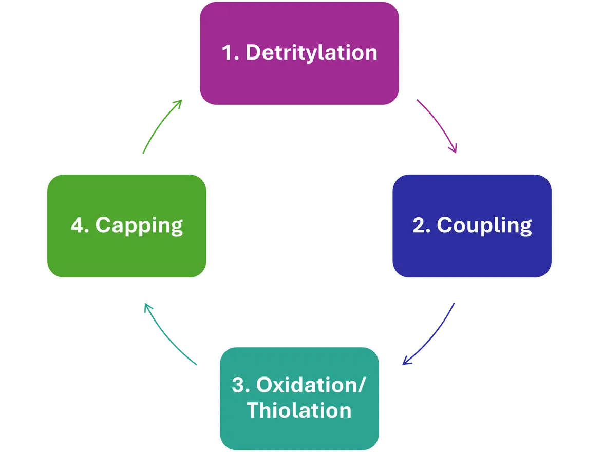 Solid-phase synthesis