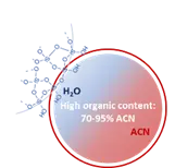 High organic content: Mobile phases often start with 70–95 % acetonitrile to promote partitioning.