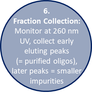 Oligos Made Easy _ Part 5 SEC
