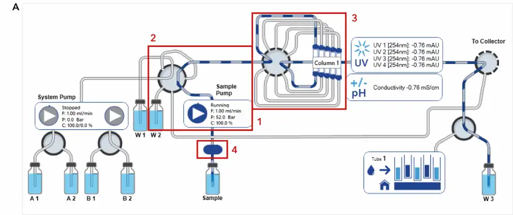 Ion exchange method during automatic sample injection Ion exchange method during automatic sample injection