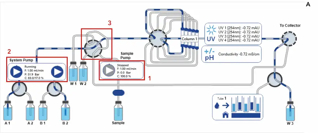 Ion exchange method during gradient elution Ion exchange method during gradient elution