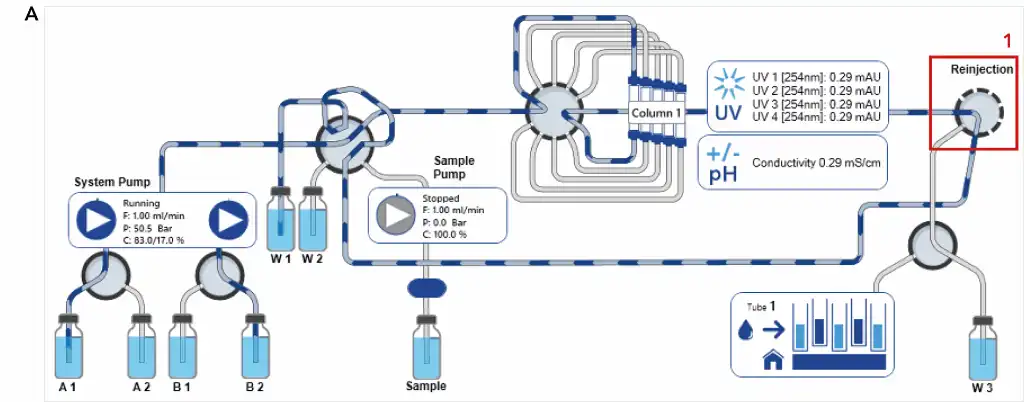 Ion exchange method during collection of the intermediate peak Ion exchange method during collection of the intermediate peak
