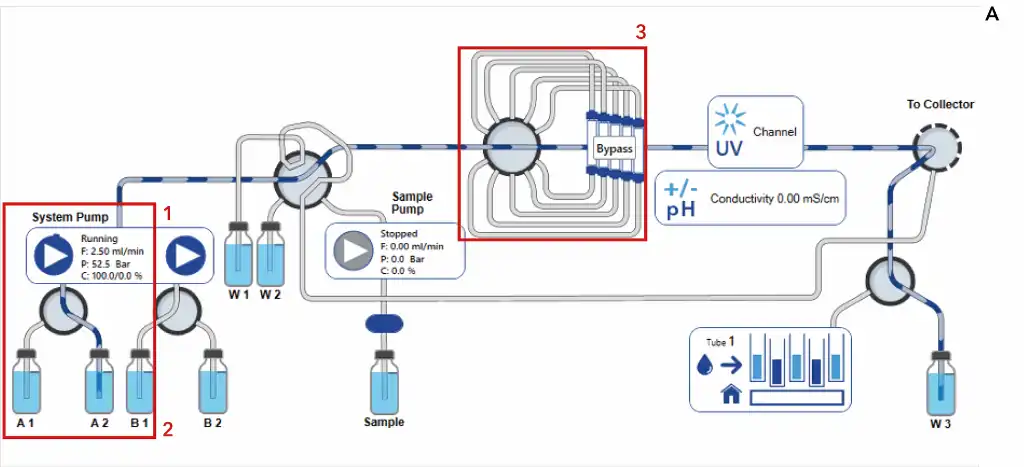 Desalting method during system wash Desalting method during system wash