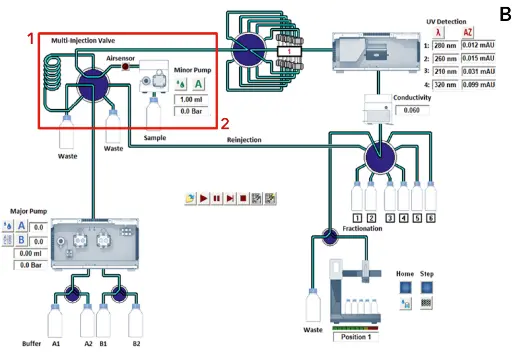 Ion exchange method during column equilibration. Time control file of ion exchange method (A). Visualization of AZURA Bio Lab system in set up with sample pump (B).
