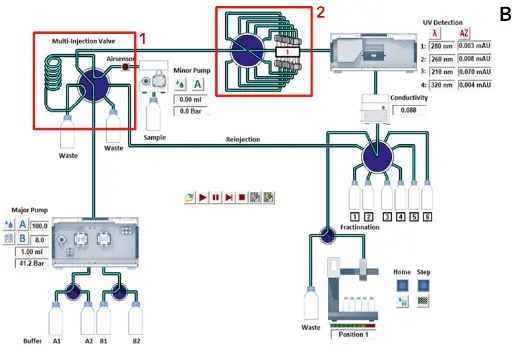 Ion exchange method during automatic sample injection. Time control file of ion exchange method (A). Visualization of AZURA Bio Lab system in set up with sample pump (B).